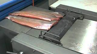 STEEN ST700T Salmon Silver Skinning [upl. by Asum]