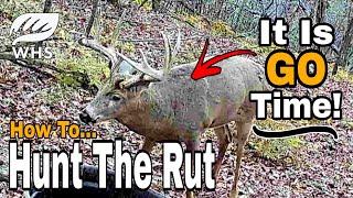 How To Hunt The Whitetail Rut  Right Now [upl. by Aisel110]