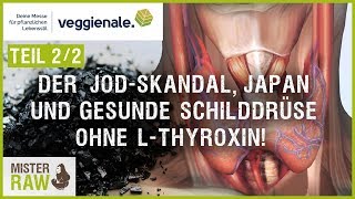 Der Jod Skandal Japan und gesunde Schilddrüse ohne LThyroxin [upl. by Yereffej]