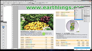 XML Database Publishing Katalog Erstellung mit Excel und Adobe Indesign [upl. by Wendeline]