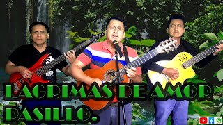 Lagrimas de AmorpasilloGrupo Musical Los Medinas [upl. by Lah]