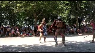 Gladiator Fight  Thraex VS Murmillo  ACTA  Autun 2018 [upl. by Elatsyrk]