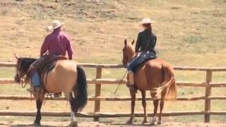 Teach Your Horse to Go Sideways Under Saddle with Pat Parelli [upl. by Enitsirc]