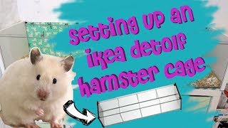 Setting Up A Hamster Cage  IKEA Detolf Review 🐹 [upl. by Hecklau]