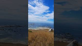 Kaikoura Peninsula Walkway Whalers Bay New Zealand [upl. by Eneleahcim]