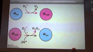 32 Kevin Aherns Biochemistry  ETS and Oxidative Phosphorylation [upl. by Barnabas528]