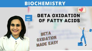 You Wont Believe the Power of Beta Oxidation in Fatty Acid Metabolism [upl. by Nalehp701]