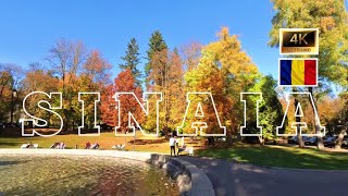 Beautiful Autumn In Sinaia Romania 🇹🇩  Dimitrie Ghica Park sinaia autumninsinai POVBarengHasan [upl. by Atirac]