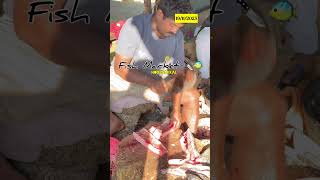 ✨Today ✅Hogenakkal Fish🐟 Market😋 fishcutting viral hogenakkal ontrending shortsfeed [upl. by Hallimaj925]