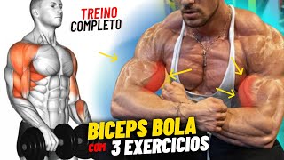 3 Exercício Para Construir Braços Gigantes Rápido  Treino de Bíceps Completo [upl. by Leumel]