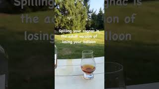 Spilling your cognac sucks😩😩😩 whisky cognac alcohol wine [upl. by Dinnage245]