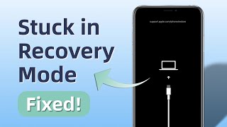 How To Fix iPhone Stuck in Recovery Mode No Data Loss3 FREE Ways [upl. by Annnora]