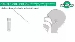 Panodyne Antigen Test Kit B [upl. by Nohsar]