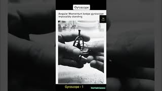 Gyroscope  1 How angular momentum help to rotate the Gyroscope shorts science physics [upl. by Filberte277]