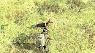 DayZ Epoch Working Dog Training [upl. by Aneelad296]