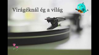 Virágéknál ég a világ [upl. by Enhpad]