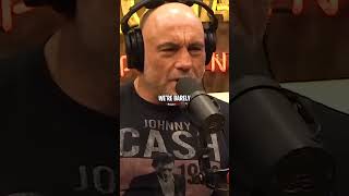 Joe Rogan Praising Eric Weinstein [upl. by Ahcmis]