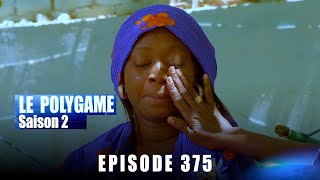 Polygame  Episode 375  Saison 2 [upl. by Adnoyek]