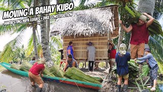 MOVING A BAHAY KUBO  HARVESTING NIPA LEAVES  DIKE CONSTRUCTION  LIFE IN THE FISHPOND [upl. by Mikes]