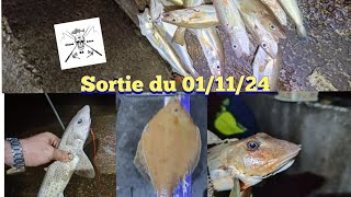 sortie sur la digue Carnot le 011124 [upl. by Octavia]