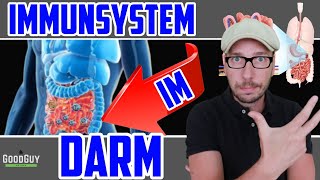 Immunsystem im DarmSchutz vor ErregernDarmschleinhautoptimaleDarmflora [upl. by Gable458]