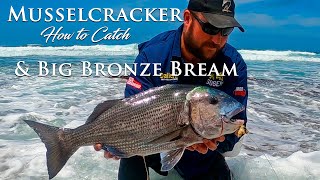 MUSSELCRACKER amp BRONZE BREAM in one spot HOW TO CATCH THEM [upl. by Lattonia]