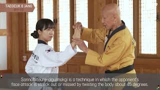 Taegeuk 6 Poomsae explanation  Taekwondo Promotion Foundation Educational Program [upl. by Ruosnam875]