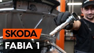 Jak vyměnit zapalovací cívka na SKODA FABIA 1 6Y5 NÁVOD AUTODOC [upl. by Hadlee281]