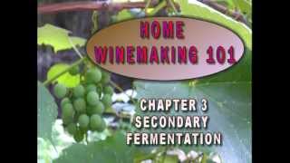 331 0003 Winemaking 101 Secondary Fermentation [upl. by Monaco]