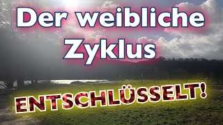 Weiblicher Zyklus 🧖‍♀️ hormongerechte Ernährung amp Training [upl. by Gnidleif]