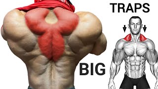 6 Exercises to Develop Big Traps Workout [upl. by Ahsienroc]