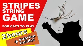 Cat Games 2 Hours Surprise Inside [upl. by Ahsienel668]