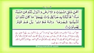 Para 20 Juz 20 Am man khalaq HD Quran Urdu Hindi Translation [upl. by Hsekin169]