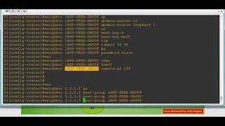 BGP Peer Group [upl. by Ahsinid]