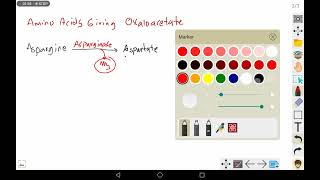 11 AAs Giving Oxaloacetate [upl. by Matthiew]