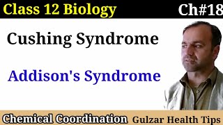 Cushing Syndrome  Addisons syndrome  Chemical coordination  Class 12 Biology [upl. by Cini445]