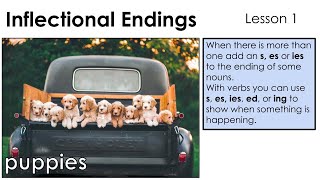 Inflected Endings s es ies  Lesson 1 [upl. by Gavrila]