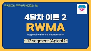 RWMA 17 segment Apical RWMA echocardiography 심장초음파 TTE sonography rdcs segment [upl. by Arinaid]