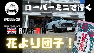 開花遅れても・・・花より団子！ROVER MINI【ローバーミニ】でブラミニ！ [upl. by Yahsel763]