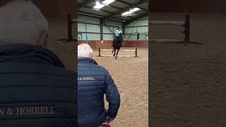 A little snippet of todays clinic with Geoff Billington and Pixies Ponies Events equestrian horse [upl. by Enyledam495]