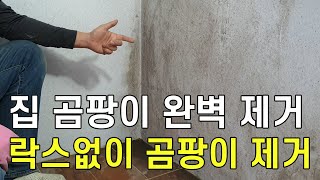 락스 사용안하고 집안 곰팡이 완벽히 제거할수 있는 신개념 청소방법 물사용 적게 하고도 청소가능 매직청소TV [upl. by Rakso]