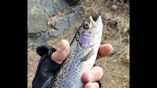 Fall day on the Pecos [upl. by Hsitirb]