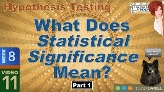 What Statistical Significance Means – Part 1 811 [upl. by Sidonie]