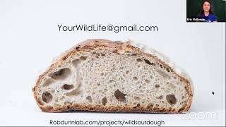 Wild Sourdough  Fermentology miniseminars [upl. by Anaila515]