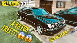 I GOT AN ABANDONED MERCEDES BENZ FOR FREE BUT ITS MICE INFESTED EP 1 [upl. by Eanrahc778]