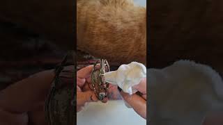 How To Clean Silver Fast amp Easy Instantly Remove Tarnish From Jewelry howto silver clean [upl. by Aihselef]