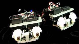 Animatronic Robotic Industrial Eyes [upl. by Nuhsed]