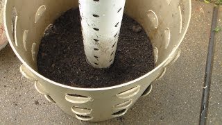 Vertical Gardening Build a Grow Tower Barrel  Worm Tube [upl. by Alphonsine]