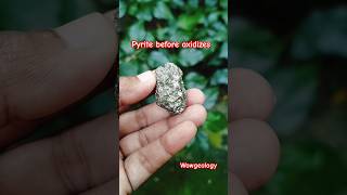 Pyrite funny geology pyrite oxidized geologist shorts crystals hindi india beforeandafter [upl. by Akcirret266]