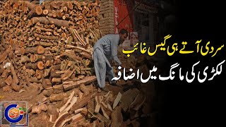 Gas Loadshedding  Wood Price Hike  10 Nov 2024  Rohi [upl. by Waddell]